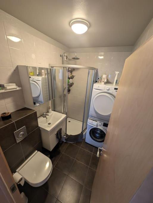 3-bedroom Apartment, Free Parking, Fragrance Free Apartment Reykjavik